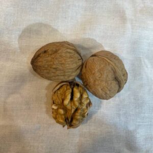 Kashmiri Walnuts