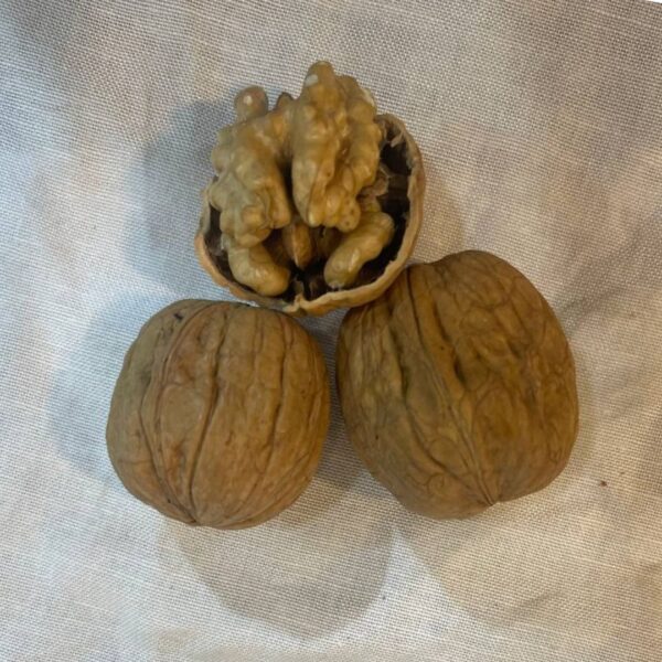 California Walnuts